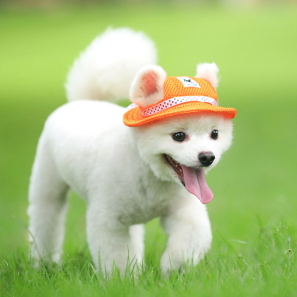 Sandwich Mesh Hat