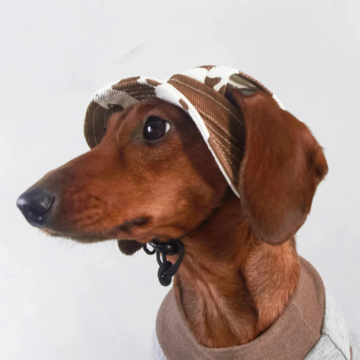 Moo for Dachshund (Bucket)