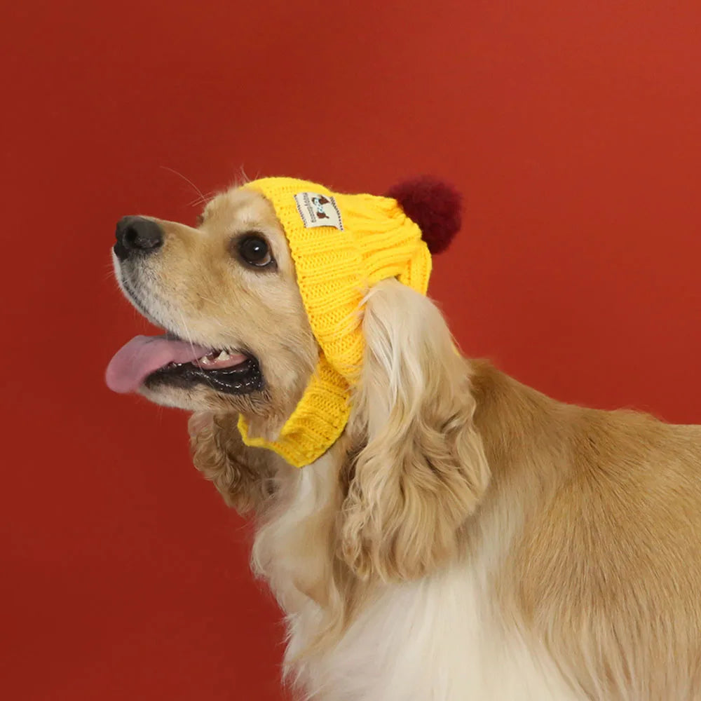 Knit Hats for Dogs
