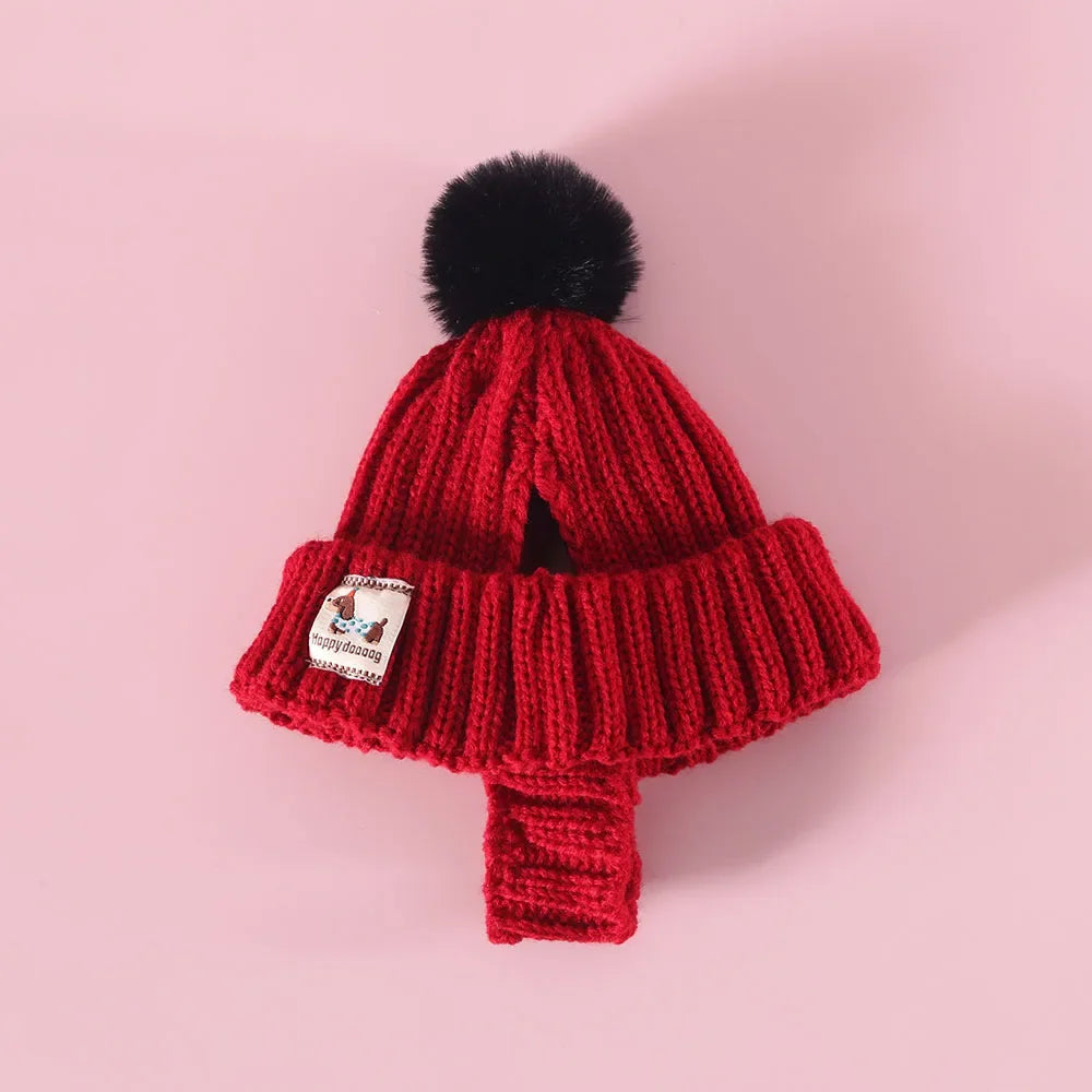Knit Hats for Dogs