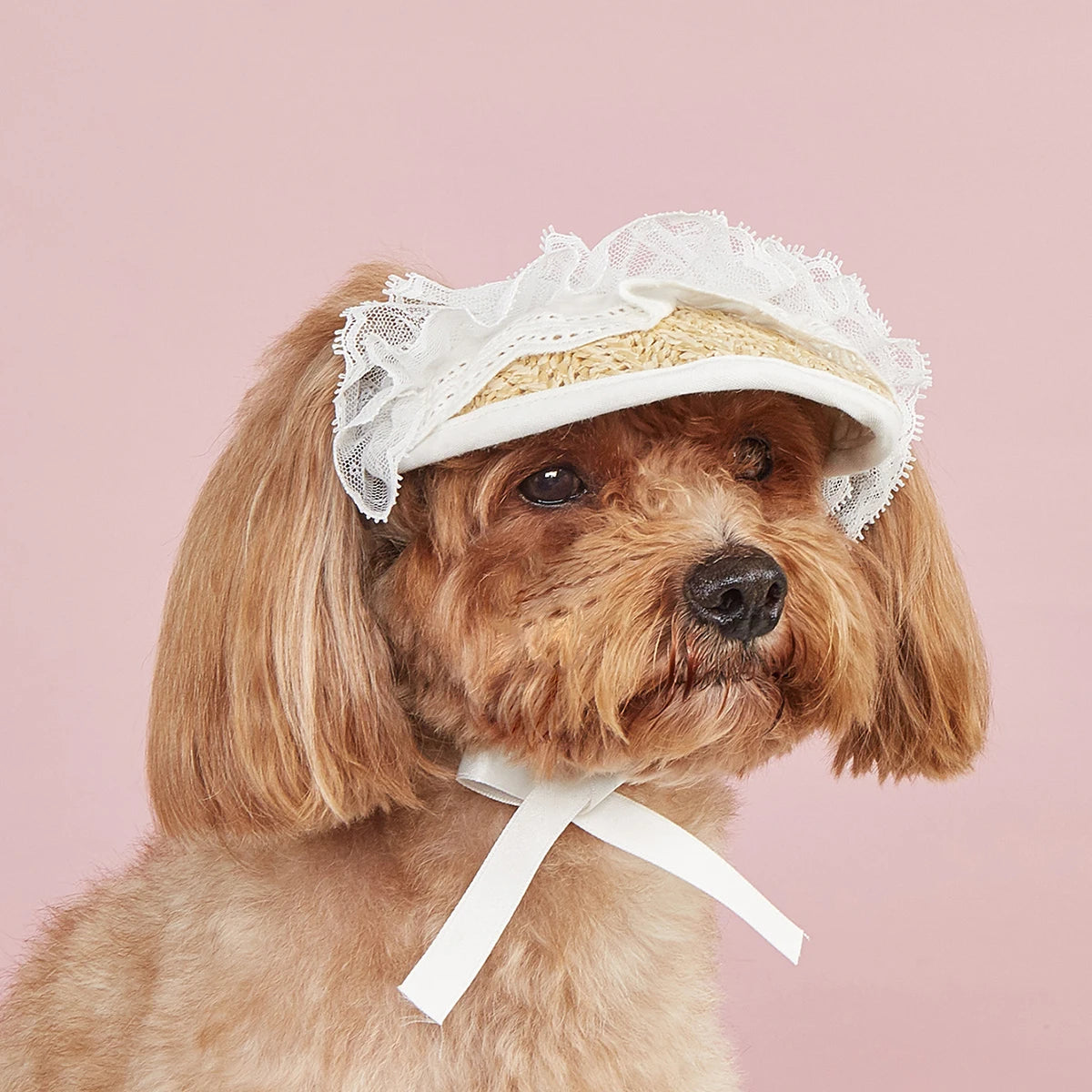 Lace Bow Hat