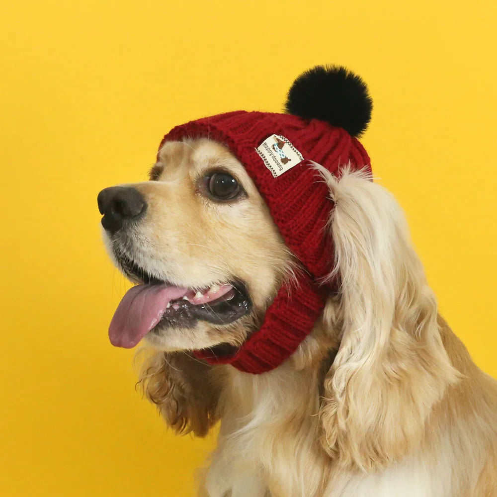 Knit Hats for Dogs