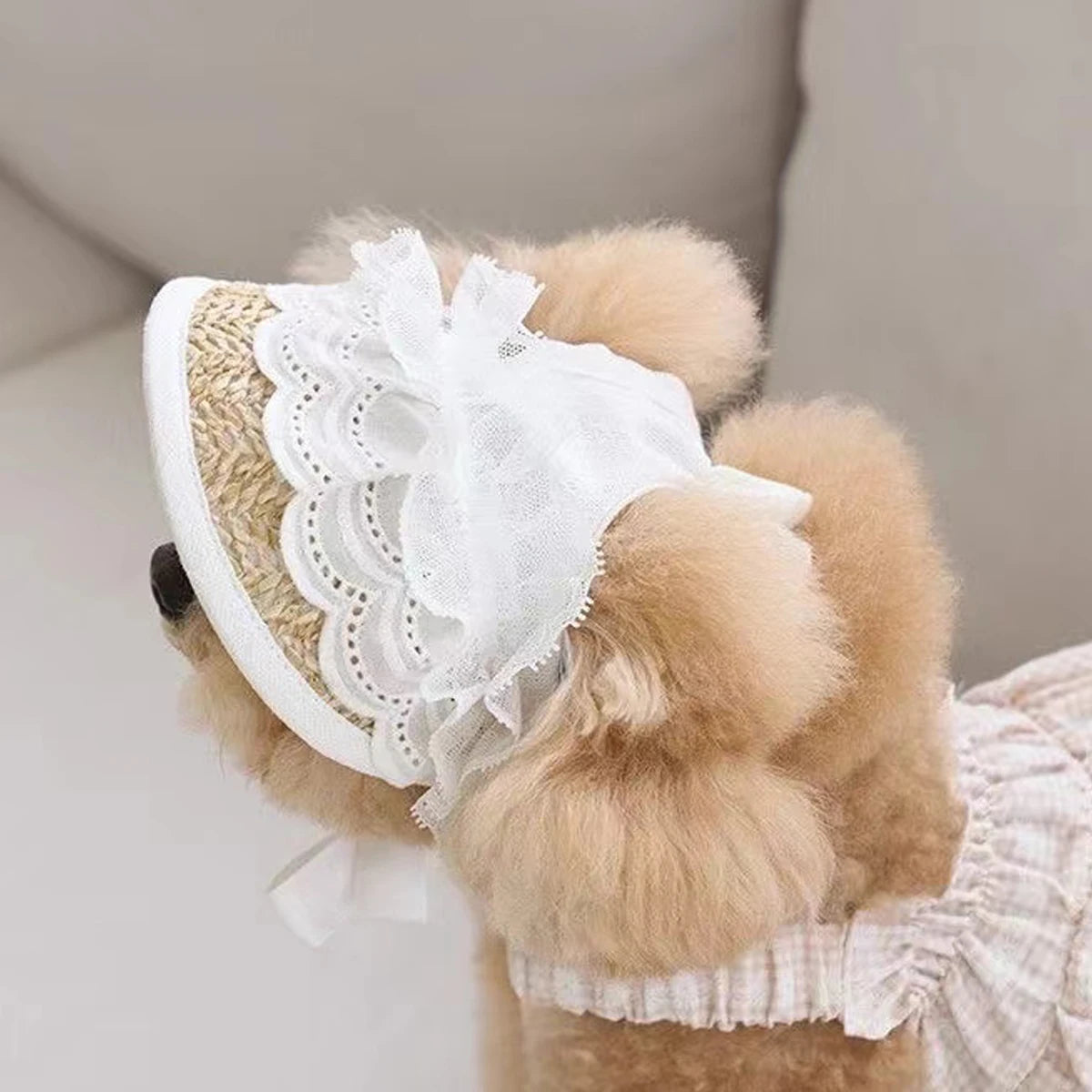 Lace Bow Hat