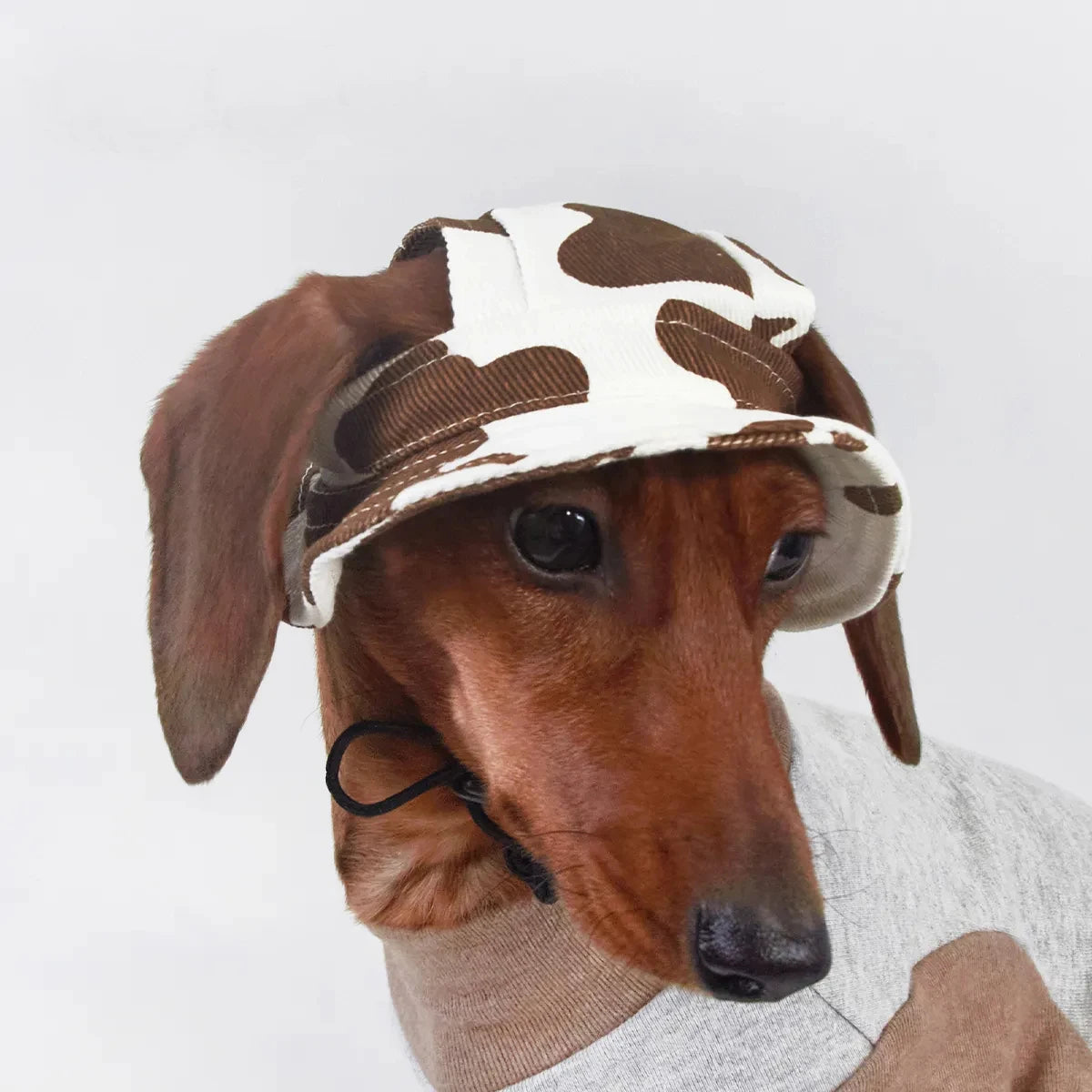 Moo for Dachshund (Bucket)